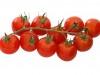 Tomate cerise