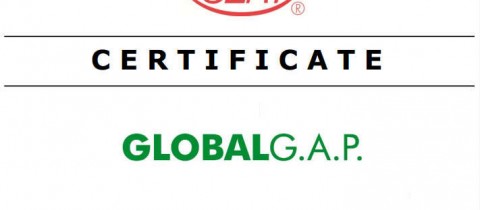 CGBSN Certifié Global G.A.P.